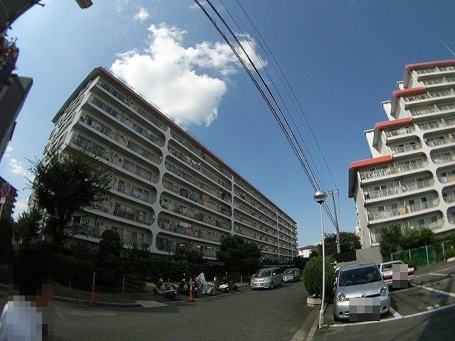 現地写真