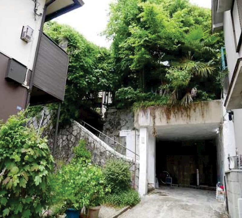 現地写真