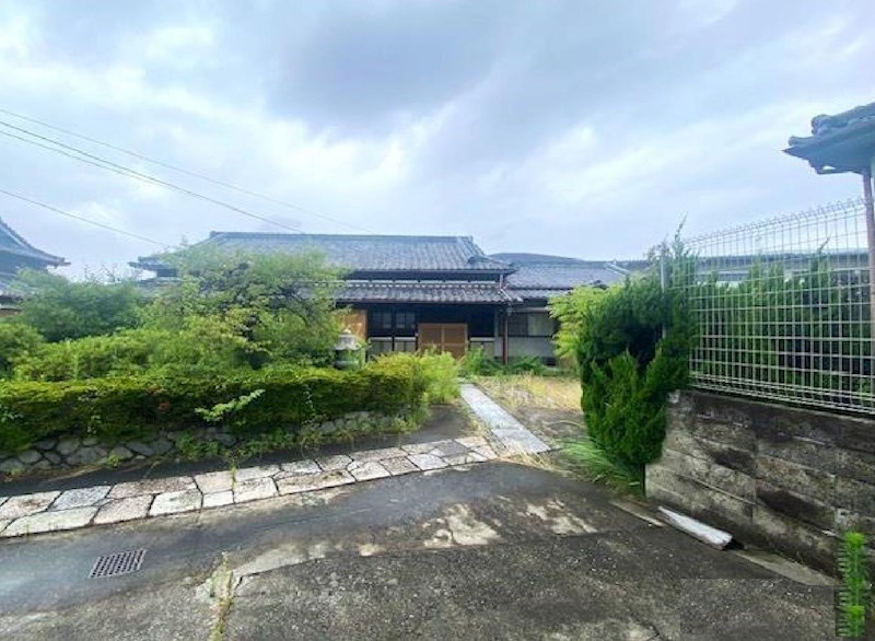 現地写真