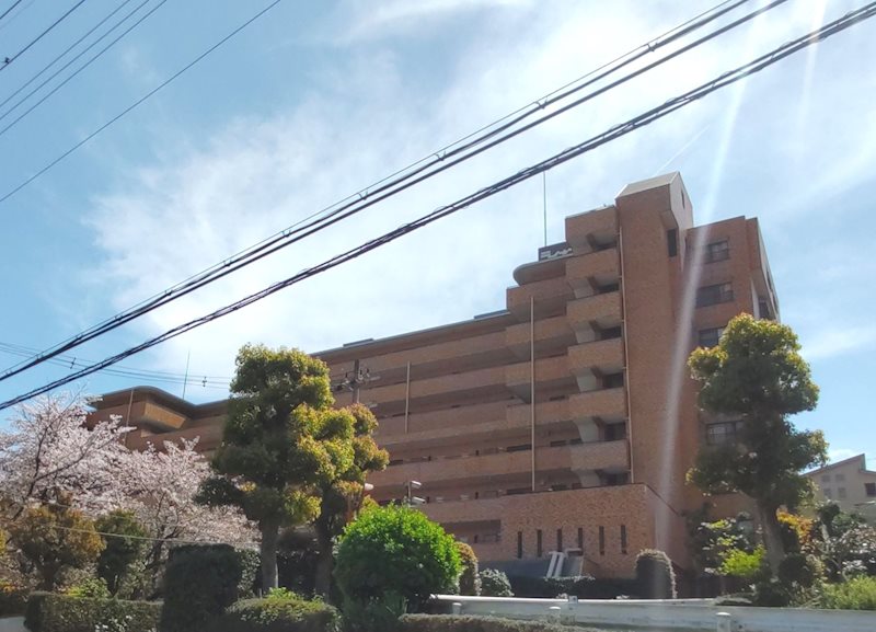 ライオンズマンション枚方 2025年10月リノベーション完了　