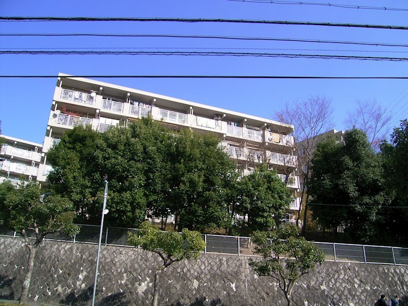 現地写真