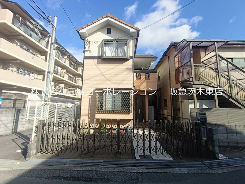 現地写真