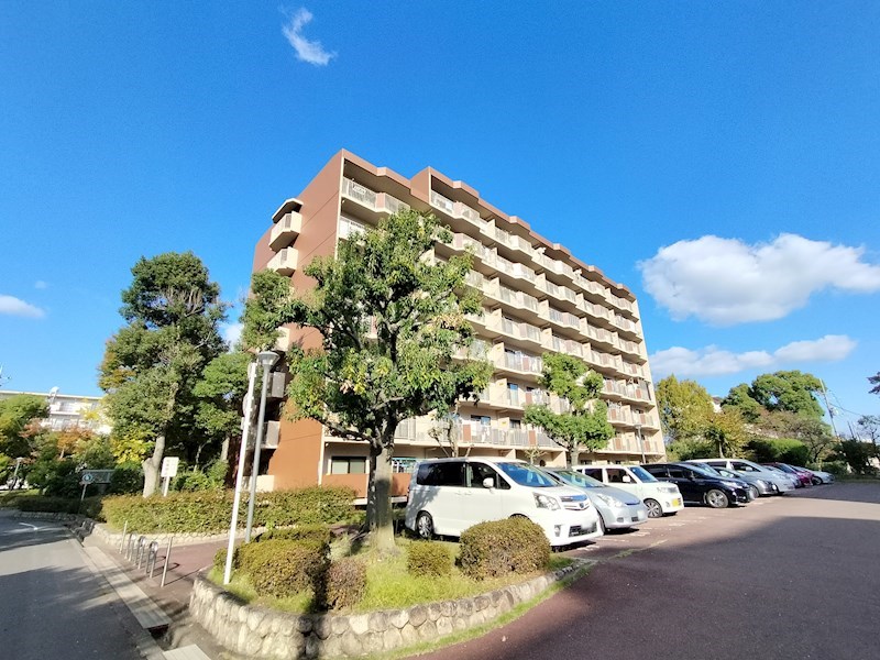 現地写真