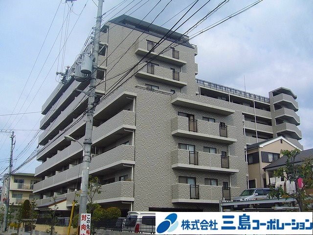 現地写真