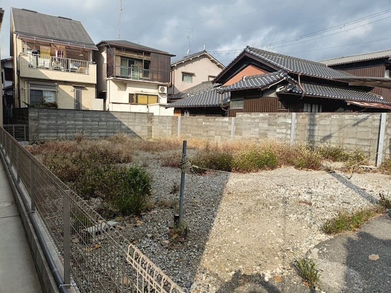 現地写真