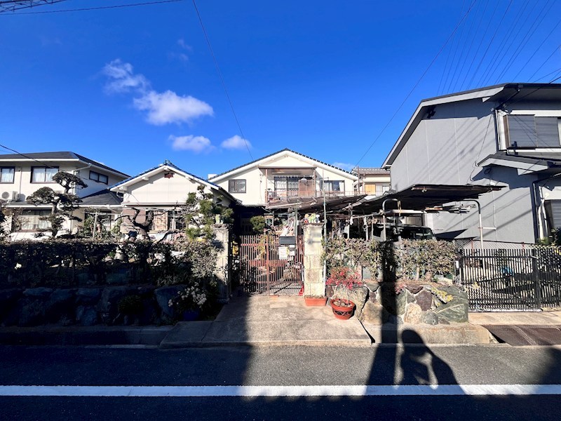 現地写真