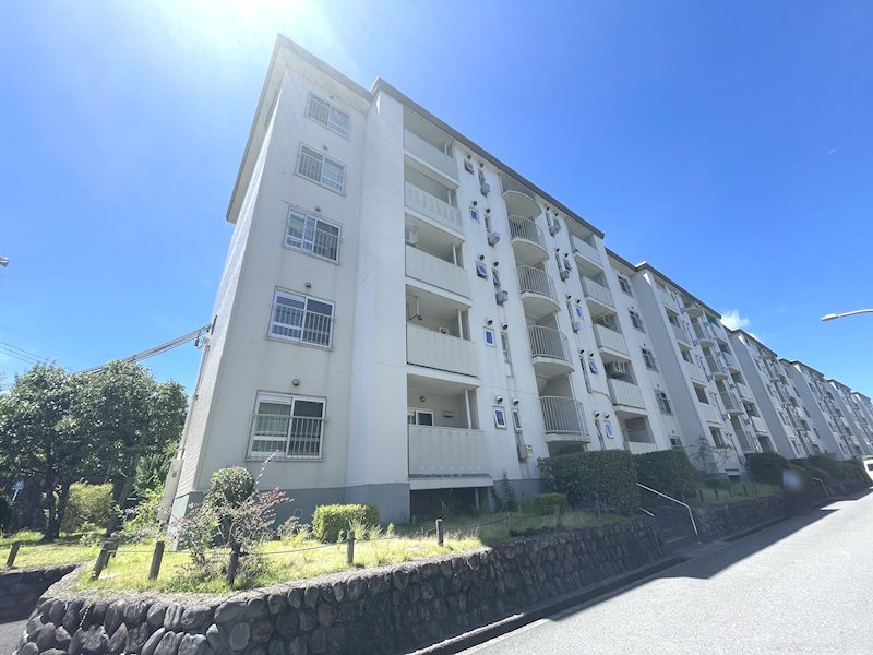 藤阪ハイツD6号棟 2025年1月室内フルリフォーム済