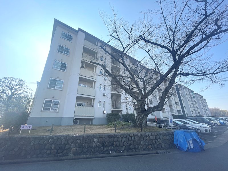 2023年リフォーム履歴有り