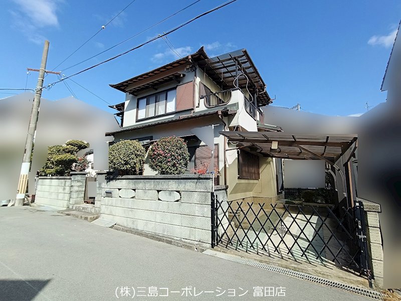 現地写真