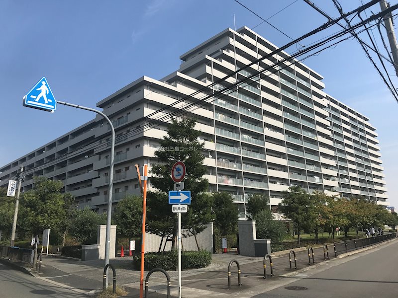 現地写真