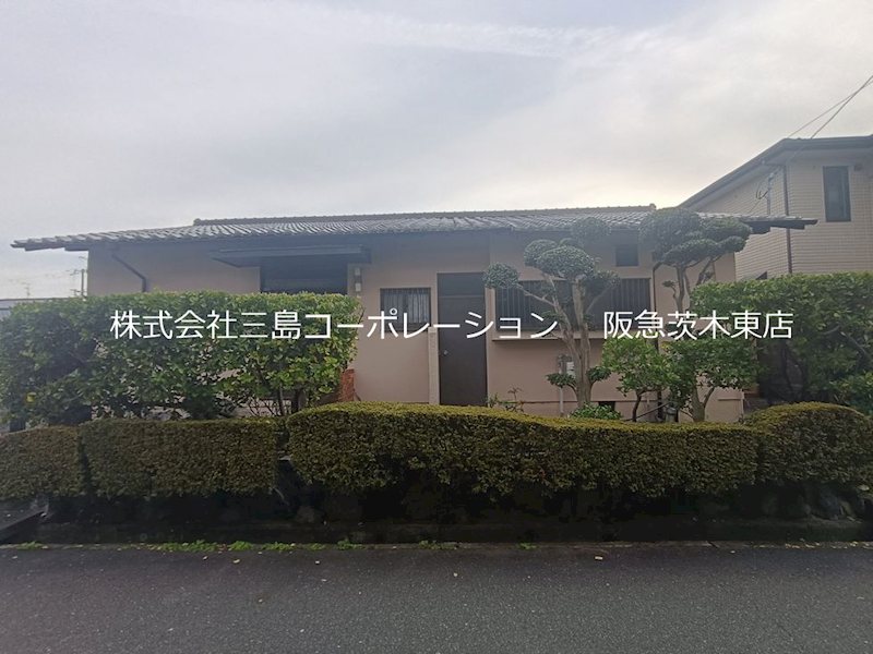 現地写真