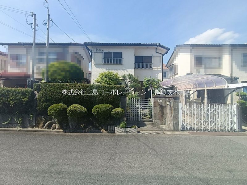 現地写真