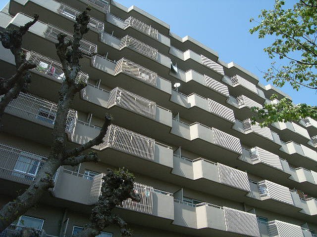 現地写真