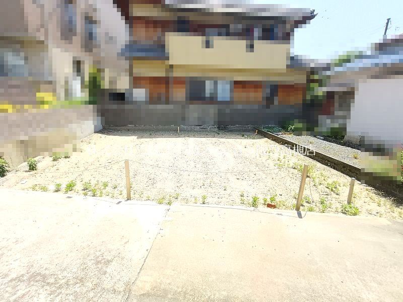現地写真