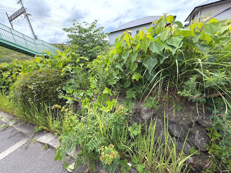 天野が原町5丁目売土地 北側道路から撮影