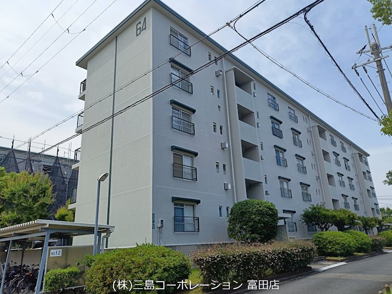 現地写真