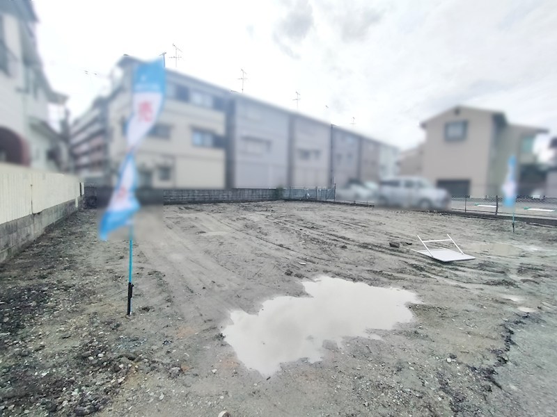 現地写真