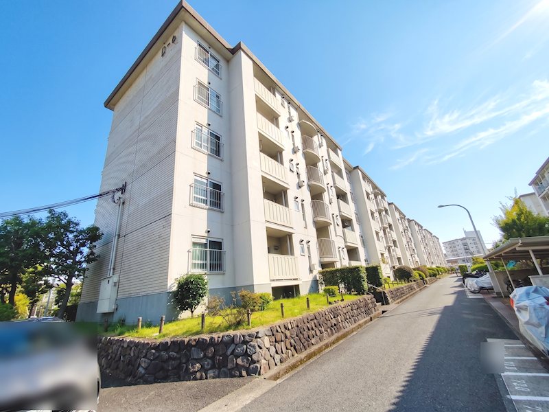 藤阪ハイツD6号棟 ＪＲ藤阪駅まで徒歩12分。近隣にスーパーフレスコがあり生活至便。緑豊かで住環境良好