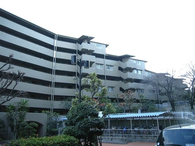 現地写真