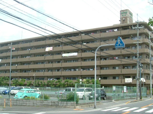 現地写真