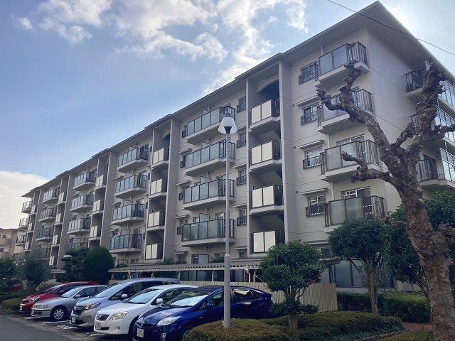 サンハイツ高槻7号館 現地外観写真。北側から撮影。